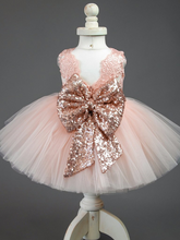 Load image into Gallery viewer, Baby tutu dress has an embroidered floral bodice, a sequin belt at the waistline with a big bow at the back, and a tutu skirt