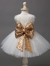 Load image into Gallery viewer, Baby tutu dress has an embroidered floral bodice, a sequin belt at the waistline with a big bow at the back, and a tutu skirt