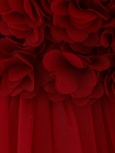 Load image into Gallery viewer, The dress has a bodice with flower applique and tulle skirt