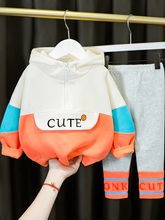 Load image into Gallery viewer, Baby Cute Kiddo Casual Hooded Sweater And Pants Set Orange