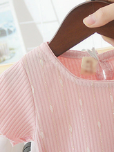 Load image into Gallery viewer, Baby Blooming Flower Tulle Overlay Dress