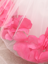 Load image into Gallery viewer, Baby Dress with Flower pedal hem and belt with flower applique pink