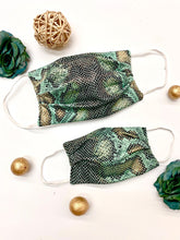 Load image into Gallery viewer, Adults and Kids Snake Print Reusable/Washable Face Masks with Filter