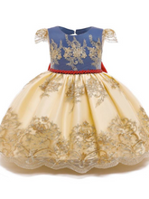 Load image into Gallery viewer, Baby Floral Lace Embroidery Beaded Dress With Bow Dress
