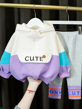Load image into Gallery viewer, Baby Cute Kiddo Casual Hooded Sweater And Pants Set Purple
