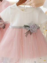 Load image into Gallery viewer, Baby Blooming Flower Tulle Overlay Dress
