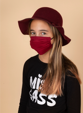 Load image into Gallery viewer, Adults and Kids Reusable/Washable Face Masks with Filter

