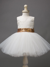 Load image into Gallery viewer, Baby tutu dress has an embroidered floral bodice, a sequin belt at the waistline with a big bow at the back, and a tutu skirt
