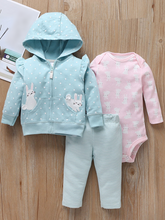 Load image into Gallery viewer, Baby Bunny Frolic Fun Long Sleeve Onesie, Hooded Jacket, And Legging Set
