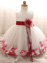 Load image into Gallery viewer, Baby Dress with Flower pedal hem and belt with flower applique burgundy
