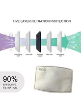 Load image into Gallery viewer, Adults and Kids Reusable/Washable Face Masks with Filter
